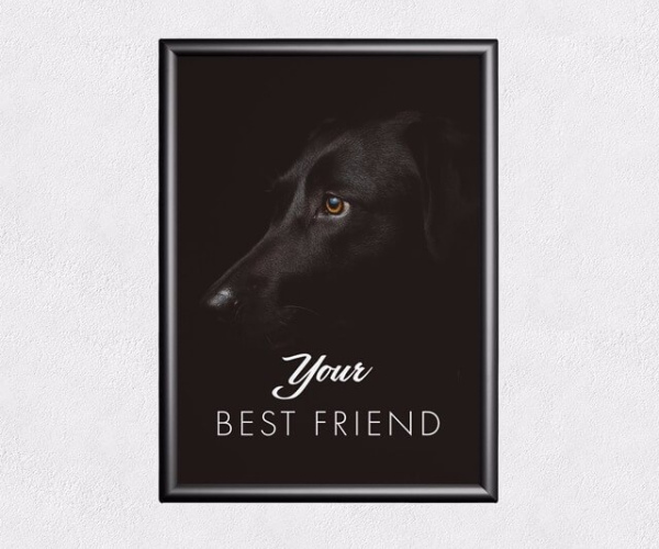 Artículo sin título